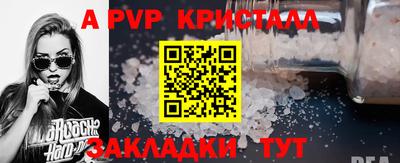 гашик Камышлов
