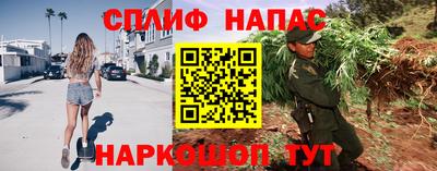 гашик Камышлов