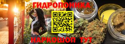 гашик Камышлов
