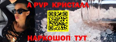 гашик Камышлов